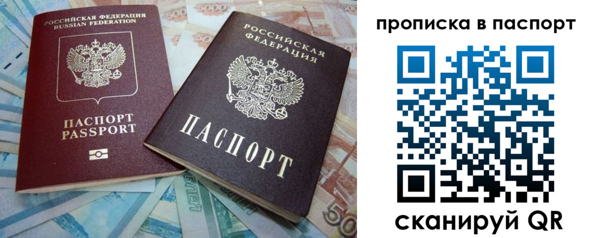 прописка поиск в Химках